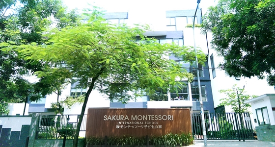 Giới thiệu hệ thống trường mầm non quốc tế Sakura Montessori