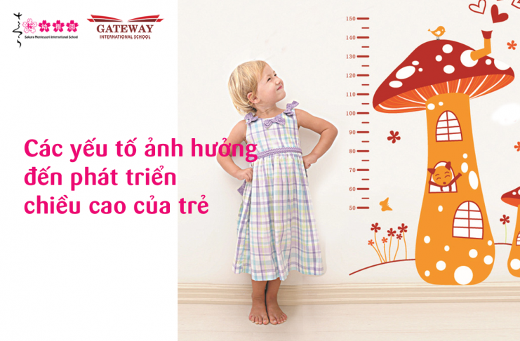 Các yếu tố ảnh hưởng tới sự phát triển chiều cao của trẻ