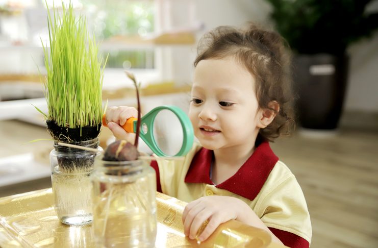 Cá tính sáng tạo học sinh Sakura Montessori được phát triển như thế nào?