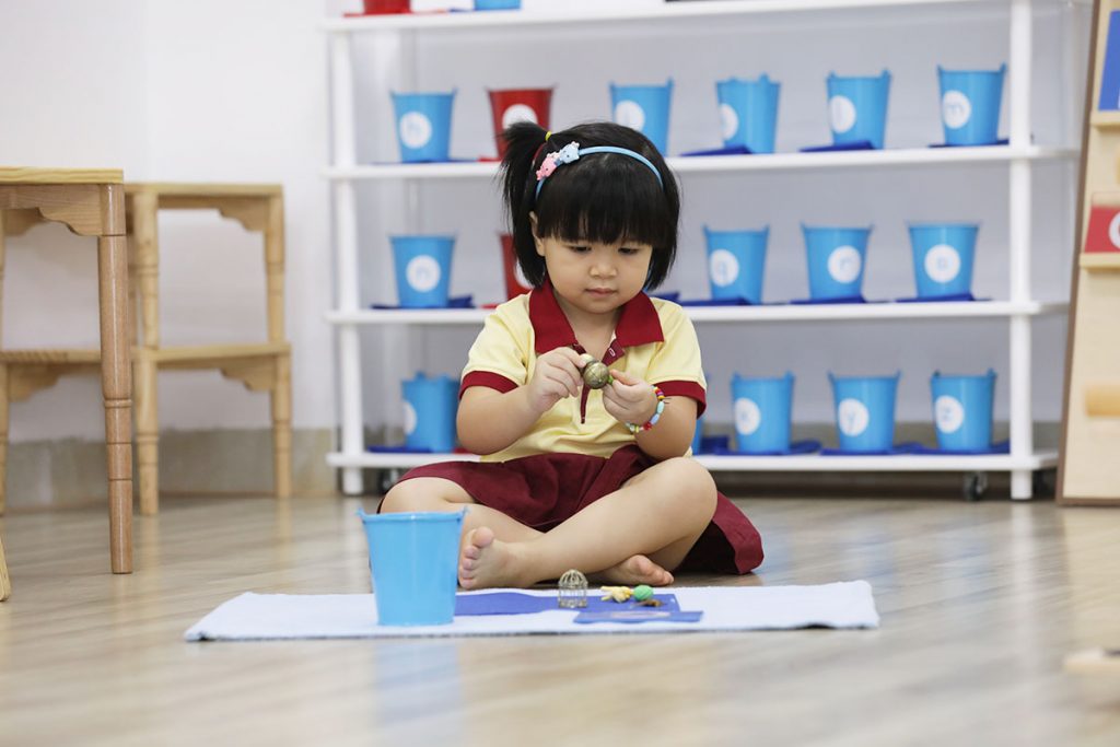 5 lý do thuyết phục phụ huynh lựa chọn Mầm non Quốc tế Sakura Montessori 