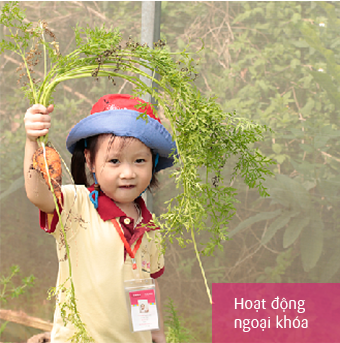 trường mầm non quốc tế hạ long - Sakura Montessori Hạ Long