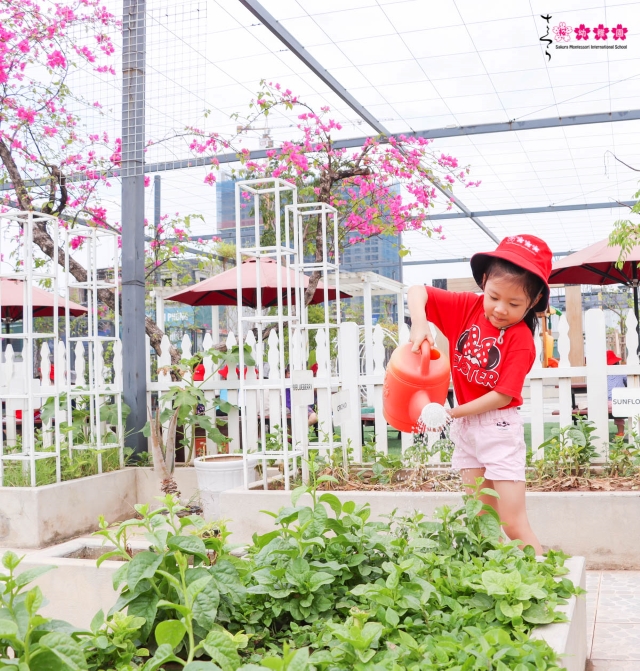 Nuôi dưỡng tâm hồn trẻ thơ bằng việc cùng con trồng rau, làm vườn!