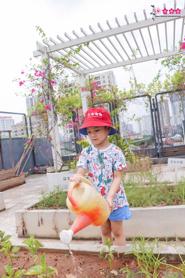Nuôi dưỡng tâm hồn trẻ thơ bằng việc cùng con trồng rau, làm vườn!