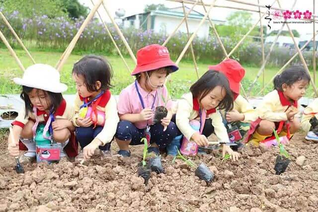 Sakura Montessori là hệ thống trường mầm non tiên phong tại Việt Nam, ứng dụng phương pháp giáo dục Montessori chuẩn Quốc tế