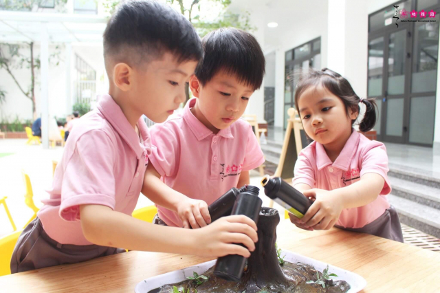 Hệ thống Trường Mầm non quốc tế Sakura Montessori được thành lập vào tháng 8/2011, tiên phong áp dụng triết lý giáo dục Montessori vào giảng dạy, đặt nền móng phát triển cho phương pháp Montessori tại Việt Nam.