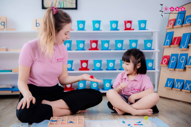 Hệ thống Trường Mầm non quốc tế Sakura Montessori được xây dựng vô mon 8/2011, tiền phong vận dụng triết lý dạy dỗ Montessori vô giảng dạy dỗ, bịa đặt hệ thống móng trở nên tân tiến mang đến cách thức Montessori bên trên VN.