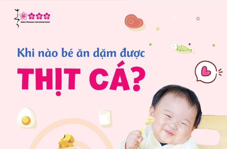 khi nào bé ăn dặm được thịt cá